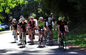 Riders on their way to the summit of the 2015 Mt Baw Baw Alpine Resort Classic.